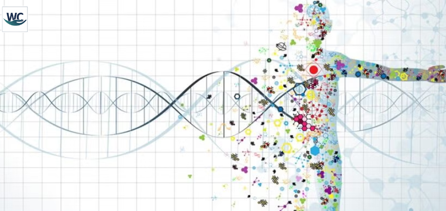 Next Frontier of Precision Medicine: A Era of Individualized Care | World Care Magazine